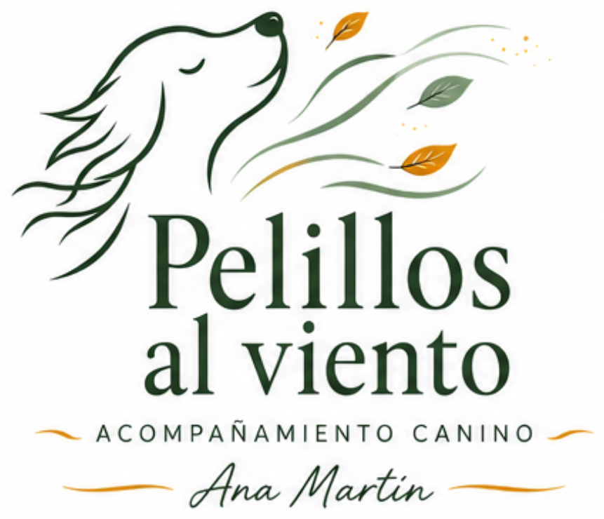 Pelillos al viento
